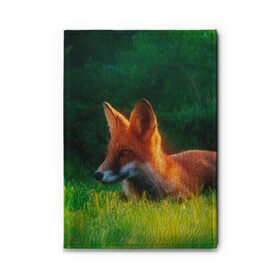 Обложка для автодокументов Рыжая лиса: в Ухте, натуральная кожа |  размер 19,9*13 см; внутри 4 больших “конверта” для документов и один маленький отдел — туда идеально встанут права | fox | foxy | животное | звери | лиса | лисенок | лисичка | милая | рыжая | фокс
