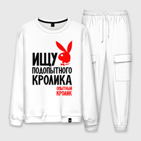 Мужской костюм хлопок с принтом Опытный кролик в Ухте, 100% хлопок | на свитшоте круглая горловина, мягкая резинка по низу. Брюки заужены к низу, на них два вида карманов: два “обычных” по бокам и два объемных, с клапанами, расположенные ниже линии бедра. Брюки с мягкой трикотажной резинкой на поясе и по низу штанин. В поясе для дополнительного комфорта — широкие завязки | кролик | надписи | юмор