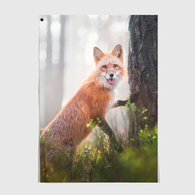 Постер с принтом Лисица в Ухте, 100% бумага
 | бумага, плотность 150 мг. Матовая, но за счет высокого коэффициента гладкости имеет небольшой блеск и дает на свету блики, но в отличии от глянцевой бумаги не покрыта лаком | fox | foxy | животное | звери | лиса | лисенок | лисичка | милая | рыжая | фокс