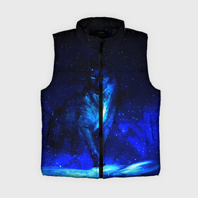 Женский жилет утепленный 3D с принтом Dark Wolf в Ухте,  |  | animals | wolf | волк | волки | животные | звери | зверь | одиночество | одиночка | пёс | собака