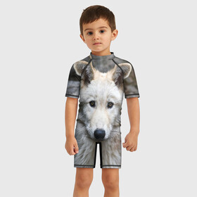 Детский купальный костюм 3D с принтом Волк в Ухте, Полиэстер 85%, Спандекс 15% | застежка на молнии на спине | animals | wolf | волк | волки | животные | звери | зверь | луна | одиночество | одиночка | пёс | собака