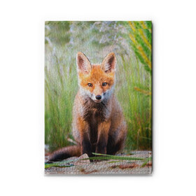 Обложка для автодокументов Лисичка: в Ухте, натуральная кожа |  размер 19,9*13 см; внутри 4 больших “конверта” для документов и один маленький отдел — туда идеально встанут права | fox | foxy | животное | звери | лиса | лисенок | лисичка | милая | рыжая | фокс