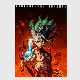 Скетчбук с принтом Доктор Стоун в Ухте, 100% бумага
 | 48 листов, плотность листов — 100 г/м2, плотность картонной обложки — 250 г/м2. Листы скреплены сверху удобной пружинной спиралью | anime | doctor stone | japan | manga | аниме | ген | гинро | доктор стоун | исигами сэнку | манга | хёга | япония