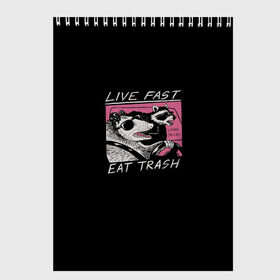 Скетчбук с принтом Live fast Eat trash в Ухте, 100% бумага
 | 48 листов, плотность листов — 100 г/м2, плотность картонной обложки — 250 г/м2. Листы скреплены сверху удобной пружинной спиралью | eat | fast | live | snap | snap collection | trash | быстро | еда | енот | жизнь | мода | мусор | опоссум | очки