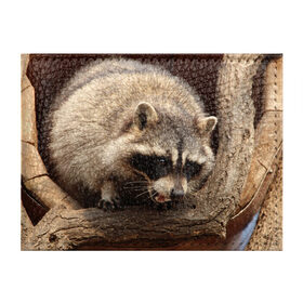 Обложка для студенческого билета Енот: в Ухте, натуральная кожа | Размер: 11*8 см; Печать на всей внешней стороне | animals | енот | животные | зверек | звери