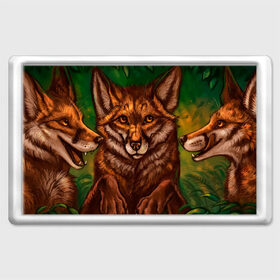 Магнит 45*70 Лисы: в Ухте, Пластик | Размер: 78*52 мм; Размер печати: 70*45 | fox | foxy | животное | звери | лиса | лисенок | лисичка | милая | рыжая | фокс