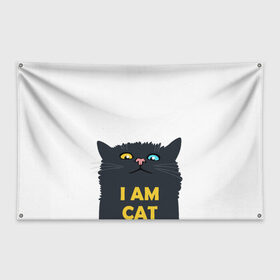 Флаг-баннер с принтом I AM CAT в Ухте, 100% полиэстер | размер 67 х 109 см, плотность ткани — 95 г/м2; по краям флага есть четыре люверса для крепления | animal | cat | i am cat | meow | животное | зверь | кот | кошка | мяу