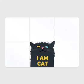 Магнитный плакат 3Х2 с принтом I AM CAT в Ухте, Полимерный материал с магнитным слоем | 6 деталей размером 9*9 см | Тематика изображения на принте: animal | cat | i am cat | meow | животное | зверь | кот | кошка | мяу