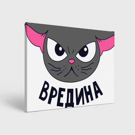 Холст прямоугольный с принтом кот в Ухте, 100% ПВХ |  | белый | надписи | серый | серый кот | фразы