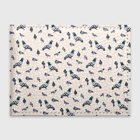 Обложка для студенческого билета с принтом Голуби в Ухте, натуральная кожа | Размер: 11*8 см; Печать на всей внешней стороне | Тематика изображения на принте: bird | birds | dove | doves | fly | wing | wings | голуби | голубь | клюв | когти | крыло | крылышки | крылья | полет | птица | птицы | птичка | птички