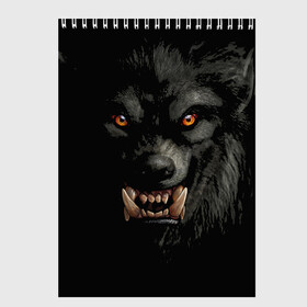 Скетчбук с принтом Оборотень | Werewolf в Ухте, 100% бумага
 | 48 листов, плотность листов — 100 г/м2, плотность картонной обложки — 250 г/м2. Листы скреплены сверху удобной пружинной спиралью | werewolf | волк | зверь | зло | мистика | монстр | оборотень | полнолуние | ужасы