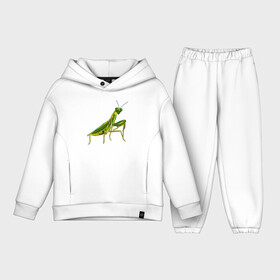 Детский костюм хлопок Oversize с принтом Богомол в Ухте,  |  | animals | insect | mantis | nature | summer | богомол | весна | дикие | животные | жуки | звери | зеленый богомол | клещни | комары | кузнечики | лапки | лето | мухи | насекомое | природа | самка | стрекоза | существа | усики