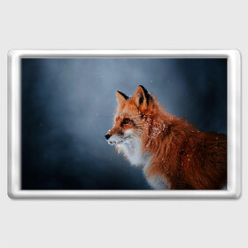 Магнит 45*70 Лиса: в Ухте, Пластик | Размер: 78*52 мм; Размер печати: 70*45 | fox | foxy | животное | звери | лиса | лисенок | лисичка | милая | рыжая | фокс