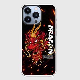 Чехол для iPhone 13 Pro Dragon Огненный дракон: в Ухте,  |  | dragon | fire | дракон | китай | китайский огонь | костер | огонь