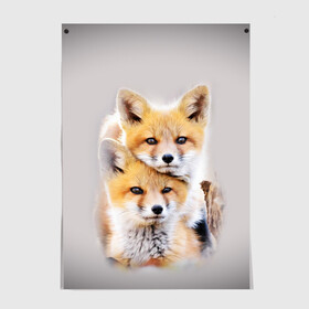 Постер с принтом Лисята в Ухте, 100% бумага
 | бумага, плотность 150 мг. Матовая, но за счет высокого коэффициента гладкости имеет небольшой блеск и дает на свету блики, но в отличии от глянцевой бумаги не покрыта лаком | детеныши | животные | лиса | лисенок | лисичка | лисята | природа | рыжая