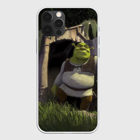 Чехол для iPhone 12 Pro с принтом Somebody Once Told Me в Ухте, силикон | область печати: задняя сторона чехла, без боковых панелей | Тематика изображения на принте: 20 | 4к | boots | cat | donkey | fiona | green | in | me | meme | memes | once | shrek | somebody | told | в | зеленый | кот | лет | мем | мемы | мульт | мультфильм | огр | огры | осел | сапогах | фиона | шрек
