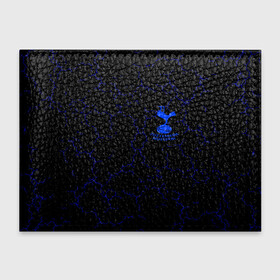 Обложка для студенческого билета с принтом Tottenham в Ухте, натуральная кожа | Размер: 11*8 см; Печать на всей внешней стороне | doelpunten | gareth bale | goals | harry kane | jose mourinho | kane | premier league | spurs | tottenham | tottenham hotspur | ziggo | ziggo sport | спорт | футбол