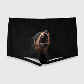 Мужские купальные плавки 3D с принтом Собака Chop в Ухте, Полиэстер 85%, Спандекс 15% |  | Тематика изображения на принте: chop | gta 5 | гта 5 | игра | собака | чоп