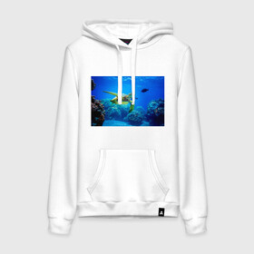 Женская толстовка с принтом Морская черепаха в Ухте, френч-терри, мягкий теплый начес внутри (100% хлопок) | карман-кенгуру, эластичные манжеты и нижняя кромка, капюшон с подкладом и шнурком | морская черепаха | океан | подводный мир | черепаха