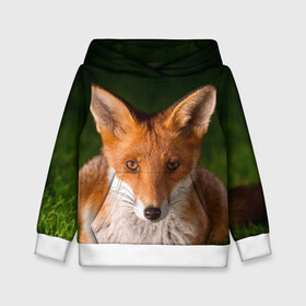 Детская толстовка 3D с принтом Лисица в Ухте, 100% полиэстер | двухслойный капюшон со шнурком для регулировки, мягкие манжеты на рукавах и по низу толстовки, спереди карман-кенгуру с мягким внутренним слоем | fox | foxy | животное | звери | лиса | лисенок | лисичка | милая | рыжая | фокс