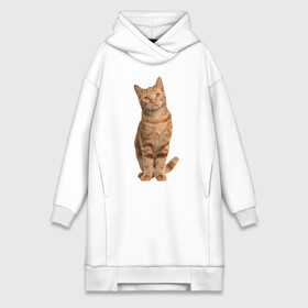 Платье-худи хлопок с принтом Рыжий кот в Ухте,  |  | киса | котенок | котик | кошка | настоящий кот | рыжий кот | фото