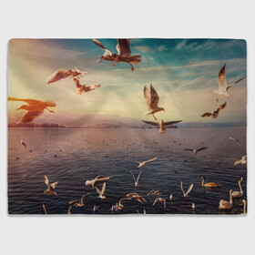 Плед 3D Чайки на воде: в Ухте, 100% полиэстер | закругленные углы, все края обработаны. Ткань не мнется и не растягивается | вода | горы | закат | море | море чайки | на воде | озеро | птица | птицу чайку | птицы | суша | чайка | чайка 2 | чайка птица | чайка чайку | чайки | чайки на воде | чайков | чайку 2