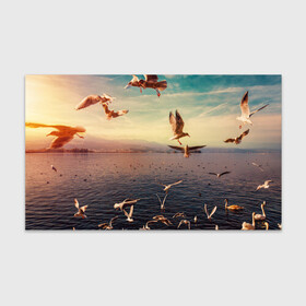 Бумага для упаковки 3D Чайки на воде: в Ухте, пластик и полированная сталь | круглая форма, металлическое крепление в виде кольца | вода | горы | закат | море | море чайки | на воде | озеро | птица | птицу чайку | птицы | суша | чайка | чайка 2 | чайка птица | чайка чайку | чайки | чайки на воде | чайков | чайку 2