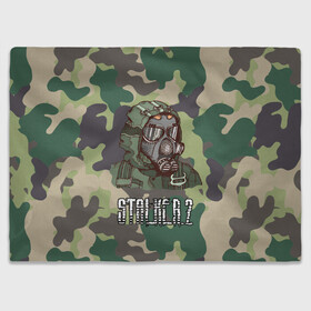 Плед 3D с принтом Stalker 2 в Ухте, 100% полиэстер | закругленные углы, все края обработаны. Ткань не мнется и не растягивается | danger | stalker | stallker | метро | постапокалипсис | радиация | сталкер | чернобыль