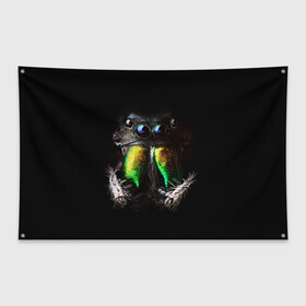 Флаг-баннер ПАУК МАКРО СЪЕМКА: в Ухте, 100% полиэстер | размер 67 х 109 см, плотность ткани — 95 г/м2; по краям флага есть четыре люверса для крепления | tegunvteg | глаза | животные | насекомые | паук | природа