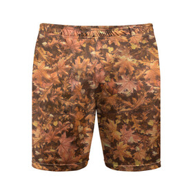 Мужские шорты спортивные Осеннее листопад: в Ухте,  |  | иллюстрация | клен | листопад | листья | осень | отдых