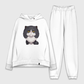 Женский костюм хлопок Oversize с принтом Важный кот в Ухте,  |  | animal | cat | cute | kitty | meow | друг | животные | киска | китти | кот | котенок | котик | котэ | кошечка | кошка | милый | мур | мяу | питомец