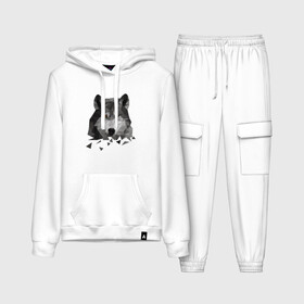 Женский костюм хлопок (с толстовкой) Полигональный Волк: в Ухте,  |  | волк | дикий | животные | зверь | одинокий | полигональный