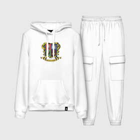 Женский костюм хлопок (с толстовкой) с принтом Молли 11 лет 2 в Ухте,  |  | molly | герб | ирландия | малоун | молли | паб