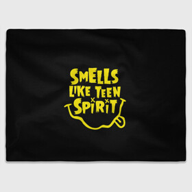 Плед 3D с принтом Smells like teen spirit в Ухте, 100% полиэстер | закругленные углы, все края обработаны. Ткань не мнется и не растягивается | alternative | kurt cobain | metall | music | nirvana | rock | альтернатива | курт кобейн | курт кобэйн | металл | музыка | нирвана | нирванна | рок