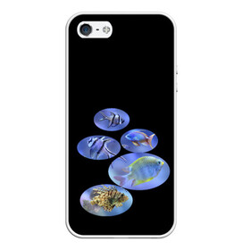 Чехол для iPhone 5/5S матовый Море внутри: в Ухте, Силикон | Область печати: задняя сторона чехла, без боковых панелей | аквариум | из воды | море | риф | рыбки