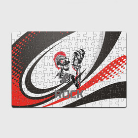Головоломка Пазл магнитный 126 элементов с принтом Punk music в Ухте, полимерный материал с магнитным слоем | 126 деталей, размер изделия —  180*270 мм | Тематика изображения на принте: punk | металл | музыка | музыкант | панк | рок | рокер