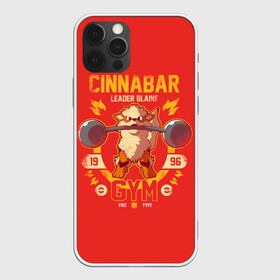 Чехол для iPhone 12 Pro с принтом Спортзал Синнабара в Ухте, силикон | область печати: задняя сторона чехла, без боковых панелей | anime | pokemon | poket monster | poketmon | аниме | анимэ | карманные монстры | покемон | синнабар | спорт | спортзал | спортсменам