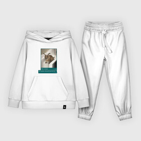 Детский костюм хлопок (с толстовкой) Шлёпа: в Ухте,  |  | каракал | кот | мемы | русский кот | рысь | шлёпа
