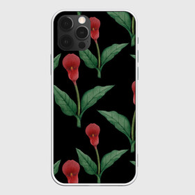 Чехол для iPhone 12 Pro Max с принтом Красные каллы на черном в Ухте, Силикон |  | Тематика изображения на принте: 8 марта | flowers | march 8 | spring | ботаническая иллюстрация | весна | день рождения | зеленый | каллы | красный | лето | любовь | праздник | принт | природа | растения | цветы | черный