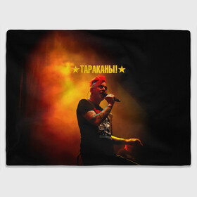 Плед 3D с принтом Тараканы! Дмитрий Спирин в Ухте, 100% полиэстер | закругленные углы, все края обработаны. Ткань не мнется и не растягивается | band | cockroaches | dmitry spirin | feelee records | four cockroaches | navigator records | rock group | tarakany | аиб records | альтернативный | бенд | бэнд | дмитрий спирин | панк | поп | рок группа | таракан | тараканы | фг никитин | четыре таракана