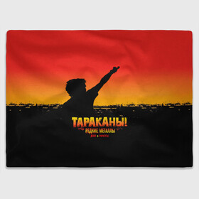 Плед 3D с принтом Тараканы! РЕДКИЕ МЕТАЛЛЫ в Ухте, 100% полиэстер | закругленные углы, все края обработаны. Ткань не мнется и не растягивается | band | cockroaches | dmitry spirin | feelee records | four cockroaches | navigator records | rock group | tarakany | аиб records | альтернативный | бенд | бэнд | дмитрий спирин | панк | поп | рок группа | таракан | тараканы | фг никитин | четыре таракана