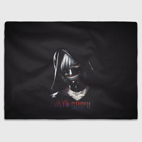 Плед 3D с принтом Токийский Гуль в Ухте, 100% полиэстер | закругленные углы, все края обработаны. Ткань не мнется и не растягивается | tokyo ghoul | аниме | кэн канэки | манга | маска | токийский гуль | фэнтези