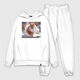 Мужской костюм хлопок OVERSIZE с принтом шпиц маленький в Ухте,  |  | бег | маленькие собачки | милота | парк | шпиц