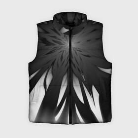 Женский жилет утепленный 3D Абстракция 353 3: в Ухте,  |  | абстрактный | абстракция | белый | звезда | линии | лучи | монохромный | сияние | фрактал | черно белый | черный