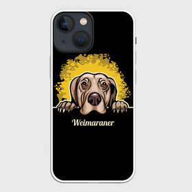 Чехол для iPhone 13 mini с принтом Веймаранер (Weimaraner) в Ухте,  |  | animal | dog | hunting dog | weimaraner | веймаранер | веймарская овчарка | год собаки | друг человека | животное | зверь | кинолог | легавая | охотничья собака | пёс | порода собак | собака | собака веймаранер