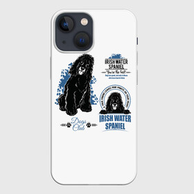 Чехол для iPhone 13 mini с принтом Ирландский Водяной Спаниель в Ухте,  |  | animal | dog | irish water spaniel | retriever | water dog | водяная собака | год собаки | друг человека | животное | зверь | ирландский водяной спаниель | кинолог | охотничья собака | пёс | порода собак | ретривер | собака