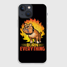 Чехол для iPhone 13 mini с принтом Сжечь Всё в Ухте,  |  | boxer | bulldog | fighting dog | pit bull | бойцовская собака | бойцовский пес | боксер | бульдог | волкодав | гнев | друг человека | злость | лев | ненависть | огонь | пес | питбуль | питбультерьер | собака | хищник