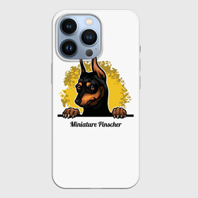 Чехол для iPhone 13 Pro с принтом Мини Пинчер в Ухте,  |  | animal | dog | german pinscher | min pi | miniature pinscher | pinscher | год собаки | друг человека | животное | зверь | кинолог | мин пин | миниатюрный пинчер | немецкий пинчер | пёс | пинчер | порода собак | собака