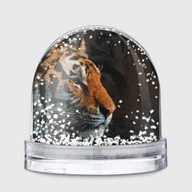 Игрушка Снежный шар АМУРСКИЙ ТИГР TIGER: в Ухте, Пластик | Изображение внутри шара печатается на глянцевой фотобумаге с двух сторон | 2022 | amur tiger | beast | fangs | happy new year | merry christmas | new year | predator | snow | stars | stern grin | stern look | winter | year of the tiger | амурский тигр | год тигра | зверь | зима | клыки | новый год | снег | суровый взгл