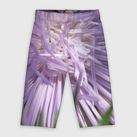 Велосипедки 3D с принтом Астра в стиле хаос в Ухте,  |  | астра | беспорядок | дача | игла | лепесток | лето | природа | растение | тонкий | участок | фазенда | фиолетовый | хоас | цветение | цветовод | цветоводство | цветок | цветы